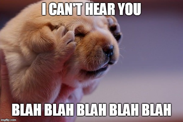 When your mom shouts at you | I CAN'T HEAR YOU; BLAH BLAH BLAH BLAH BLAH | image tagged in dog memes | made w/ Imgflip meme maker
