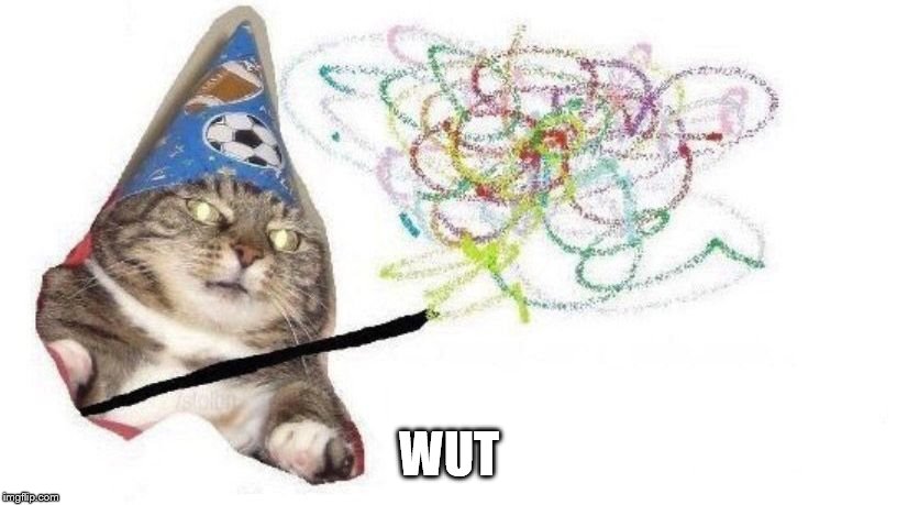 Wizard Cat | WUT | image tagged in wizard cat | made w/ Imgflip meme maker