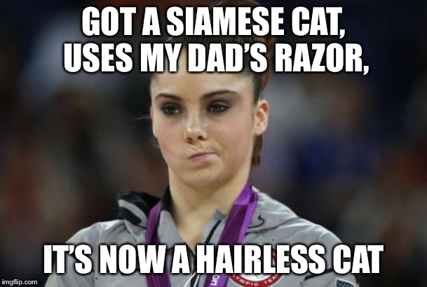 McKayla Maroney Not Impressed | GOT A SIAMESE CAT, USES MY DAD’S RAZOR, IT’S NOW A HAIRLESS CAT | image tagged in memes,mckayla maroney not impressed | made w/ Imgflip meme maker
