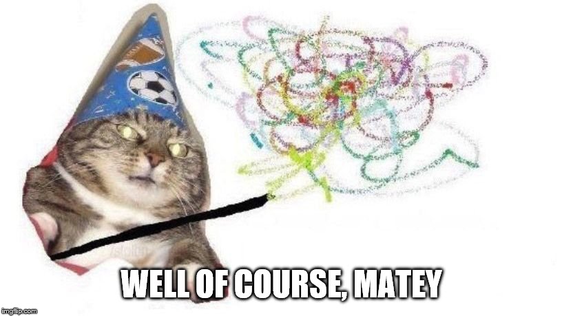 Wizard Cat | WELL OF COURSE, MATEY | image tagged in wizard cat | made w/ Imgflip meme maker