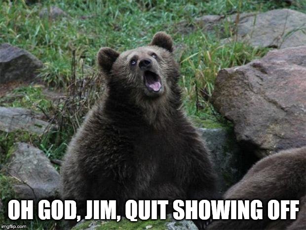 Sarcastic Bear | OH GOD, JIM, QUIT SHOWING OFF | image tagged in sarcastic bear | made w/ Imgflip meme maker