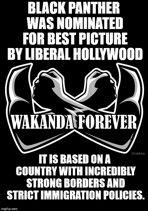 BLACK PANTHER WAS NOMINATED FOR BEST PICTURE BY LIBERAL HOLLYWOOD; IT IS BASED ON A COUNTRY WITH INCREDIBLY STRONG BORDERS AND STRICT IMMIGRATION POLICIES. | image tagged in wakanda | made w/ Imgflip meme maker