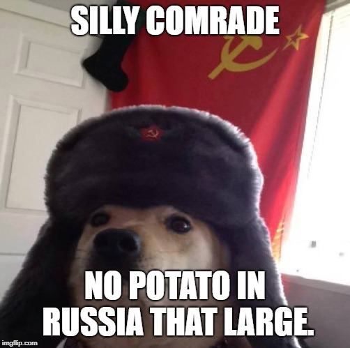 SILLY COMRADE NO POTATO IN RUSSIA THAT LARGE. | made w/ Imgflip meme maker