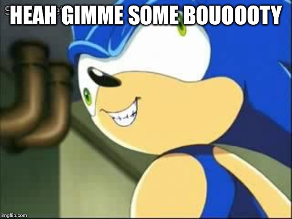 Derp sonic | HEAH GIMME SOME BOUOOOTY | image tagged in derp sonic | made w/ Imgflip meme maker
