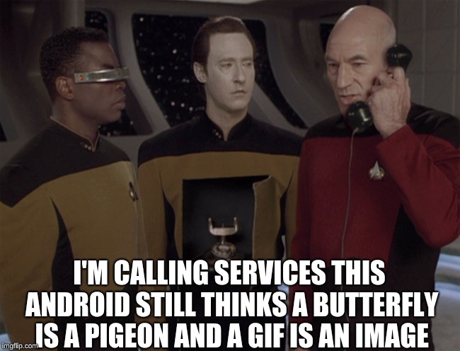 Android | I'M CALLING SERVICES THIS ANDROID STILL THINKS A BUTTERFLY IS A PIGEON AND A GIF IS AN IMAGE | image tagged in android | made w/ Imgflip meme maker