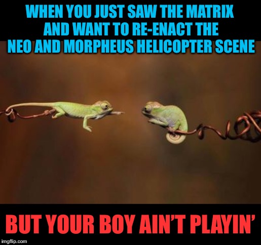 What if I told you- I’m not playin’! | WHEN YOU JUST SAW THE MATRIX AND WANT TO RE-ENACT THE NEO AND MORPHEUS HELICOPTER SCENE; BUT YOUR BOY AIN’T PLAYIN’ | image tagged in lizard,matrix,funny memes | made w/ Imgflip meme maker