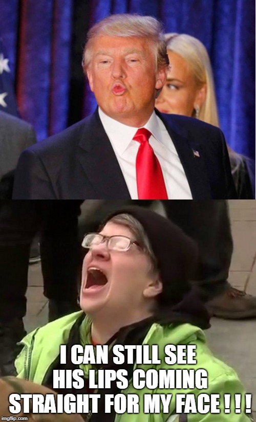 Trump Kiss | I CAN STILL SEE HIS LIPS COMING STRAIGHT FOR MY FACE ! ! ! | image tagged in trump kiss,alva johnson | made w/ Imgflip meme maker