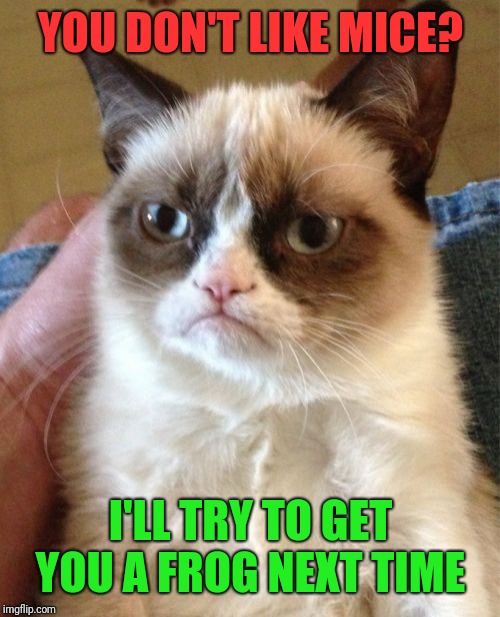 Grumpy Cat Meme | YOU DON'T LIKE MICE? I'LL TRY TO GET YOU A FROG NEXT TIME | image tagged in memes,grumpy cat | made w/ Imgflip meme maker