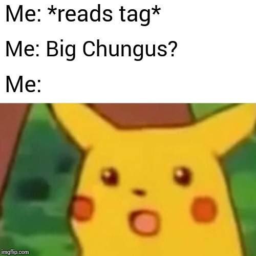 Surprised Pikachu Meme | Me: *reads tag* Me: Big Chungus? Me: | image tagged in memes,surprised pikachu | made w/ Imgflip meme maker