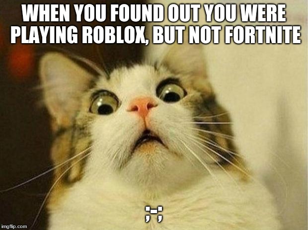 Scared Cat Meme | WHEN YOU FOUND OUT YOU WERE PLAYING ROBLOX, BUT NOT FORTNITE; ;-; | image tagged in memes,scared cat | made w/ Imgflip meme maker