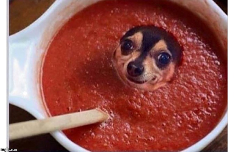 Sauce dog | . | image tagged in sauce dog | made w/ Imgflip meme maker