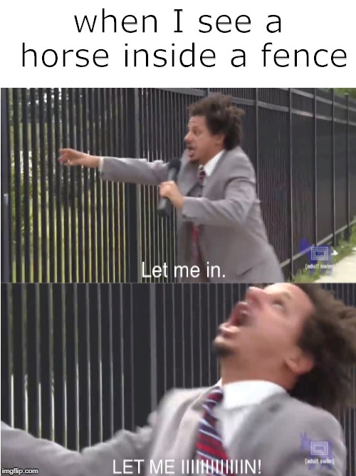 I hate it when I'm reaching my hand  and the horse won't come to me | when I see a horse inside a fence | image tagged in let me in,memes,funny,fence,horse,horses | made w/ Imgflip meme maker