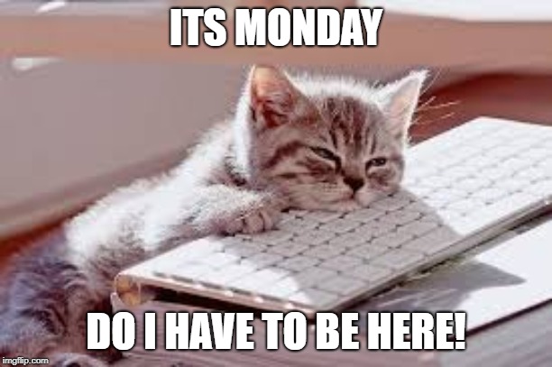 mondays be like... | ITS MONDAY; DO I HAVE TO BE HERE! | image tagged in mondays be like | made w/ Imgflip meme maker