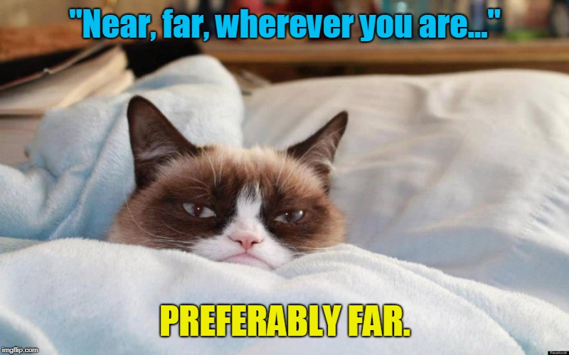 grumpy cat bed | "Near, far, wherever you are..." PREFERABLY FAR. | image tagged in grumpy cat bed | made w/ Imgflip meme maker