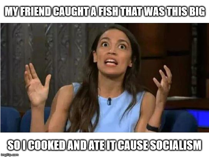 Fishing socialism | MY FRIEND CAUGHT A FISH THAT WAS THIS BIG; SO I COOKED AND ATE IT CAUSE SOCIALISM | image tagged in occasional cortez,democratic socialism,fishing,retarded | made w/ Imgflip meme maker