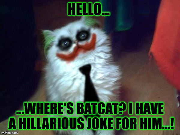 Joker's pet also has a nemesis... | HELLO... ...WHERE'S BATCAT? I HAVE A HILLARIOUS JOKE FOR HIM...! | image tagged in funny,cats,joker,batman | made w/ Imgflip meme maker