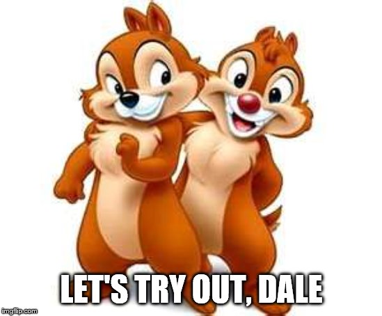 Chip and Dale | LET'S TRY OUT, DALE | image tagged in chip and dale | made w/ Imgflip meme maker