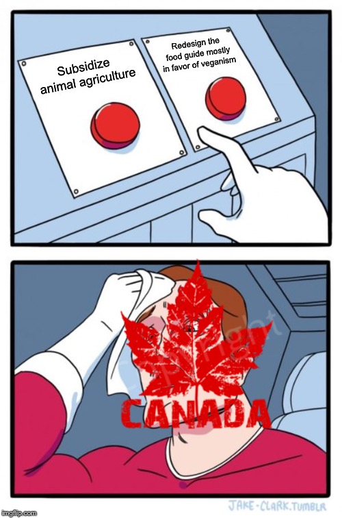 Two Buttons | Redesign the food guide mostly in favor of veganism; Subsidize animal agriculture | image tagged in memes,two buttons | made w/ Imgflip meme maker