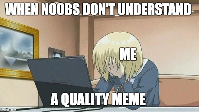 WHEN NOOBS DON'T UNDERSTAND A QUALITY MEME ME | image tagged in anime face palm | made w/ Imgflip meme maker