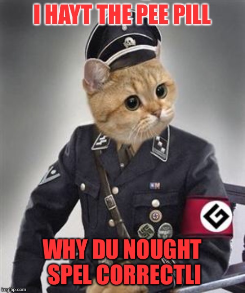 Grammar Nazi Cat | I HAYT THE PEE PILL; WHY DU NOUGHT SPEL CORRECTLI | image tagged in grammar nazi cat | made w/ Imgflip meme maker