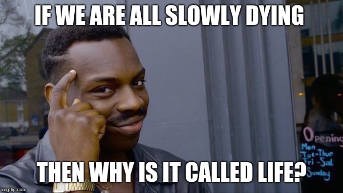 Roll Safe Think About It | IF WE ARE ALL SLOWLY DYING; THEN WHY IS IT CALLED LIFE? | image tagged in memes,roll safe think about it | made w/ Imgflip meme maker