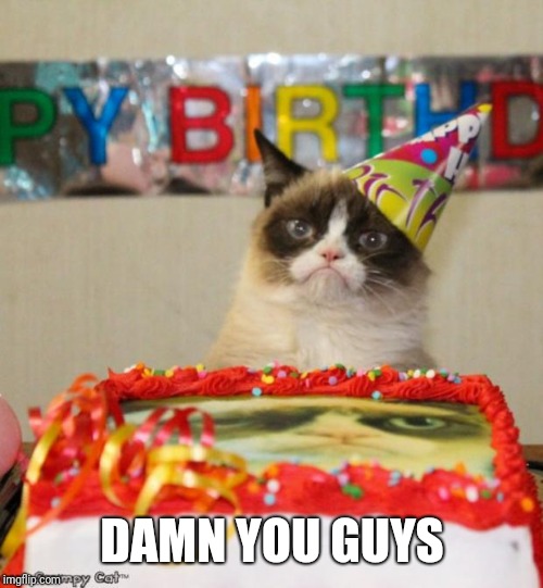 Grumpy Cat Birthday Meme | DAMN YOU GUYS | image tagged in memes,grumpy cat birthday,grumpy cat | made w/ Imgflip meme maker