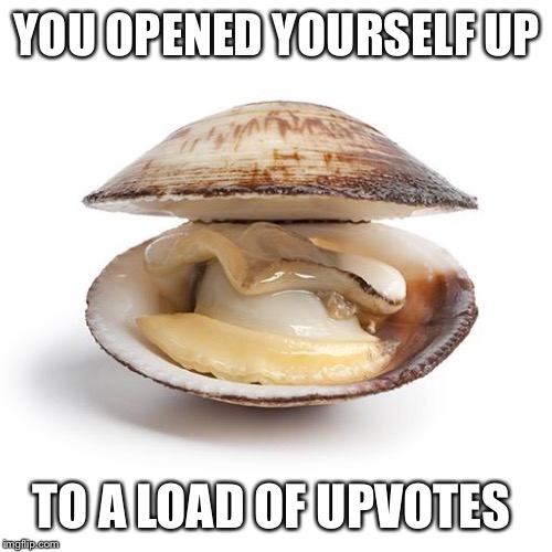 clam | YOU OPENED YOURSELF UP TO A LOAD OF UPVOTES | image tagged in clam | made w/ Imgflip meme maker