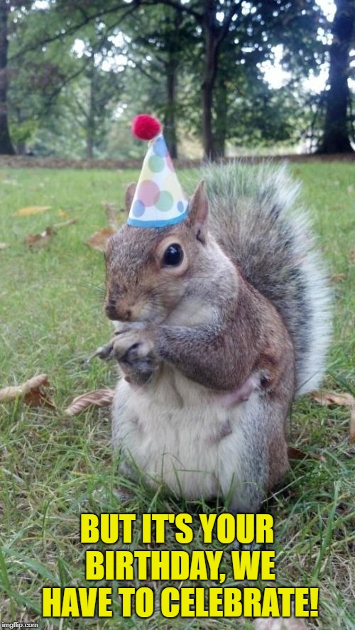 Super Birthday Squirrel Meme | BUT IT'S YOUR BIRTHDAY, WE HAVE TO CELEBRATE! | image tagged in memes,super birthday squirrel | made w/ Imgflip meme maker