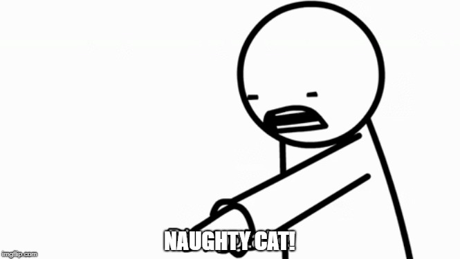 NAUGHTY CAT! | made w/ Imgflip meme maker