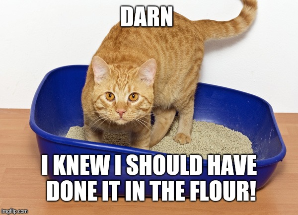 Litterbox | DARN I KNEW I SHOULD HAVE DONE IT IN THE FLOUR! | image tagged in litterbox | made w/ Imgflip meme maker