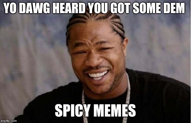 Yo Dawg Heard You | YO DAWG HEARD YOU GOT SOME DEM; SPICY MEMES | image tagged in memes,yo dawg heard you | made w/ Imgflip meme maker