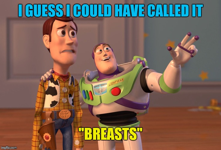 X, X Everywhere Meme | I GUESS I COULD HAVE CALLED IT "BREASTS" | image tagged in memes,x x everywhere | made w/ Imgflip meme maker