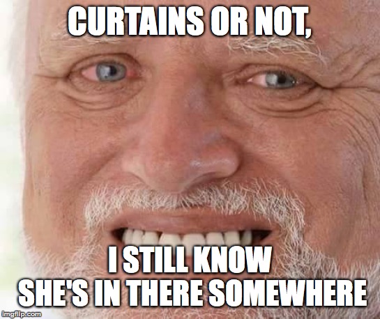 harold smiling | CURTAINS OR NOT, I STILL KNOW SHE'S IN THERE SOMEWHERE | image tagged in harold smiling | made w/ Imgflip meme maker