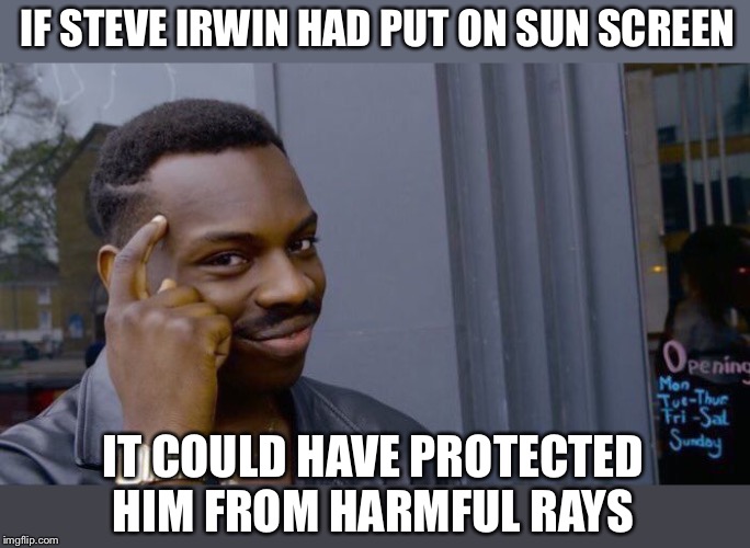 Roll Safe Think About It Meme | IF STEVE IRWIN HAD PUT ON SUN SCREEN IT COULD HAVE PROTECTED HIM FROM HARMFUL RAYS | image tagged in memes,roll safe think about it | made w/ Imgflip meme maker