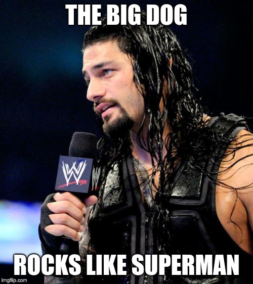 roman reigns | THE BIG DOG; ROCKS LIKE SUPERMAN | image tagged in roman reigns | made w/ Imgflip meme maker