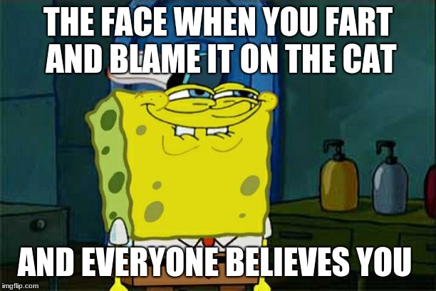Don't You Squidward Meme | THE FACE WHEN YOU FART AND BLAME IT ON THE CAT; AND EVERYONE BELIEVES YOU | image tagged in memes,dont you squidward | made w/ Imgflip meme maker