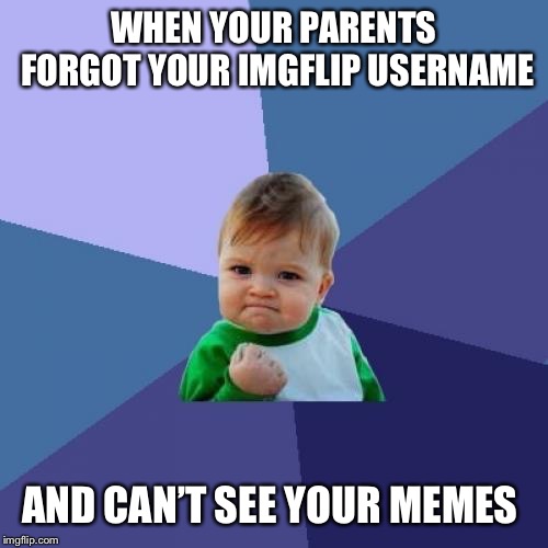 Success Kid | WHEN YOUR PARENTS FORGOT YOUR IMGFLIP USERNAME; AND CAN’T SEE YOUR MEMES | image tagged in memes,success kid | made w/ Imgflip meme maker