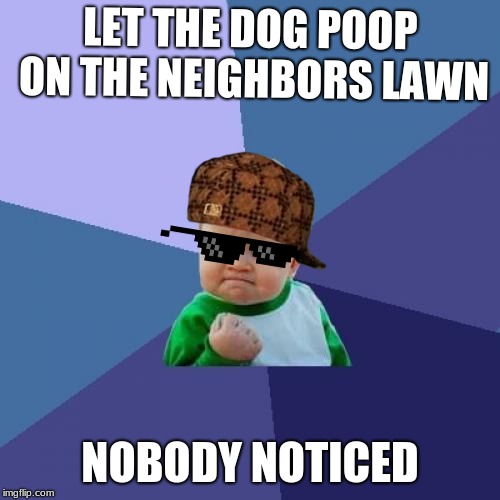 Success Kid | LET THE DOG POOP ON THE NEIGHBORS LAWN; NOBODY NOTICED | image tagged in memes,success kid | made w/ Imgflip meme maker