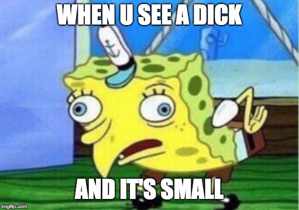 Mocking Spongebob | WHEN U SEE A DICK; AND IT'S SMALL | image tagged in memes,mocking spongebob | made w/ Imgflip meme maker
