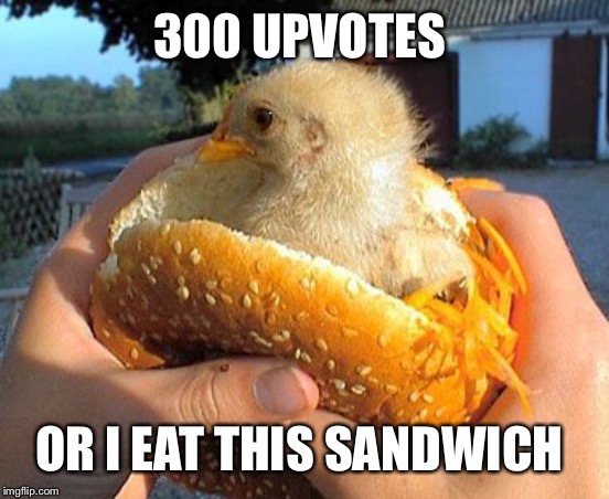 300 UPVOTES OR I EAT THIS SANDWICH | made w/ Imgflip meme maker