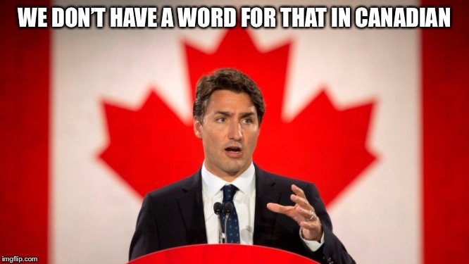 Justin Trudeau | WE DON’T HAVE A WORD FOR THAT IN CANADIAN | image tagged in justin trudeau | made w/ Imgflip meme maker