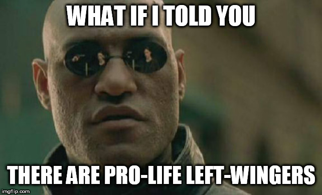 Matrix Morpheus Meme | WHAT IF I TOLD YOU; THERE ARE PRO-LIFE LEFT-WINGERS | image tagged in memes,matrix morpheus,pro-life,pro life,left-wing,left wing | made w/ Imgflip meme maker