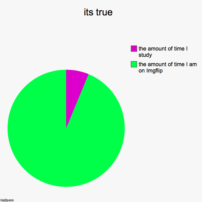 its true  | the amount of time I am on Imgflip, the amount of time I study | image tagged in charts,pie charts | made w/ Imgflip chart maker