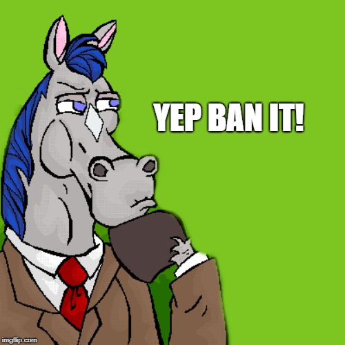 horse | YEP BAN IT! | image tagged in horse | made w/ Imgflip meme maker