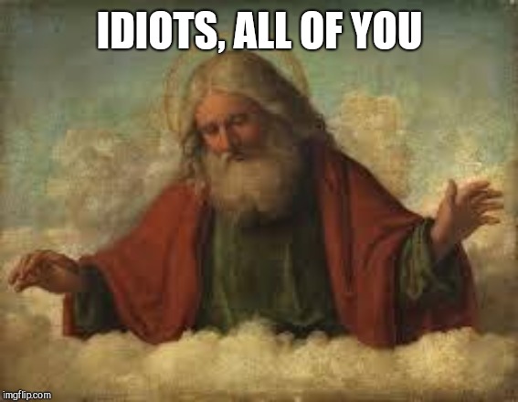 god | IDIOTS, ALL OF YOU | image tagged in god | made w/ Imgflip meme maker