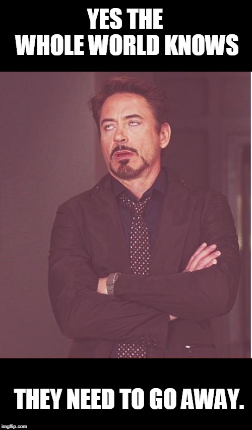 Face You Make Robert Downey Jr Meme | YES THE WHOLE WORLD KNOWS THEY NEED TO GO AWAY. | image tagged in memes,face you make robert downey jr | made w/ Imgflip meme maker