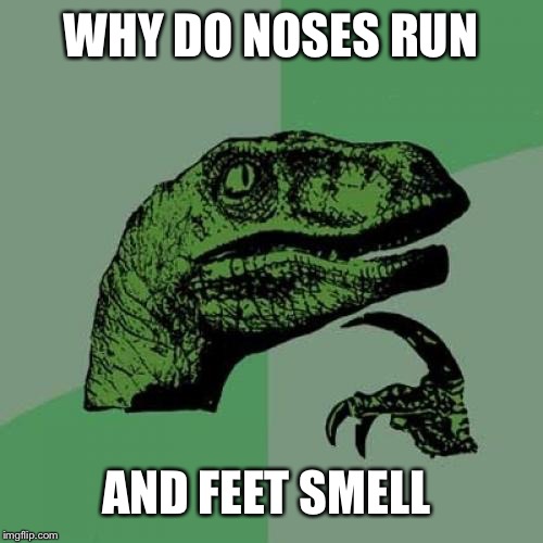 Philosoraptor | WHY DO NOSES RUN; AND FEET SMELL | image tagged in memes,philosoraptor | made w/ Imgflip meme maker
