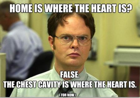 Dwight Schrute | image tagged in memes,dwight schrute