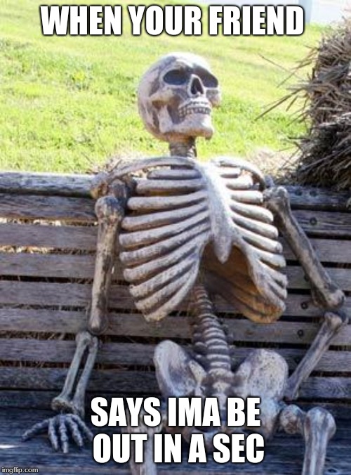 Waiting Skeleton | WHEN YOUR FRIEND; SAYS IMA BE OUT IN A SEC | image tagged in memes,waiting skeleton | made w/ Imgflip meme maker