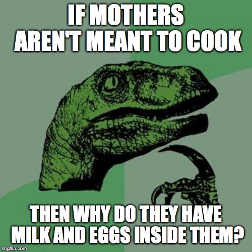 Philosoraptor | IF MOTHERS AREN'T MEANT TO COOK; THEN WHY DO THEY HAVE MILK AND EGGS INSIDE THEM? | image tagged in memes,philosoraptor | made w/ Imgflip meme maker